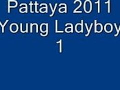 2020 Ladyboy Fun in Pattaya